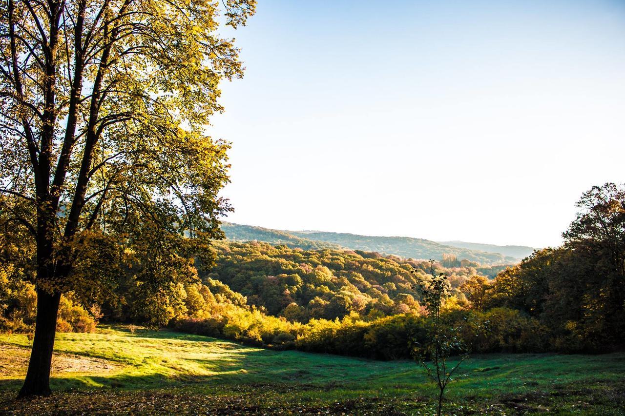 Etno Naselje Vrdnicka Kula Bed & Breakfast Vrdnik Bagian luar foto